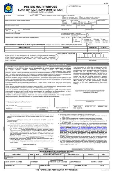 calamity loan application form|Multi.